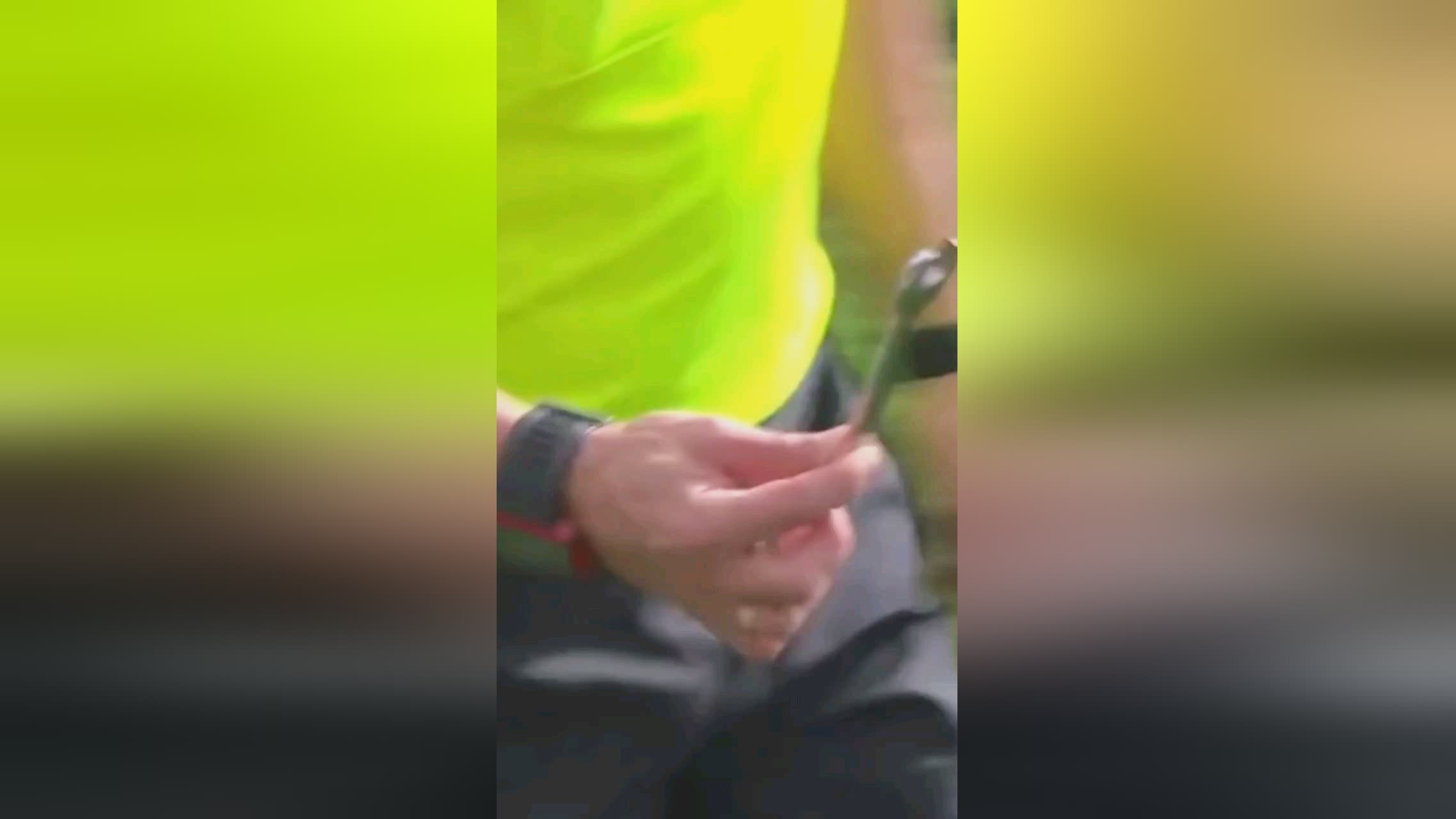 这粒进